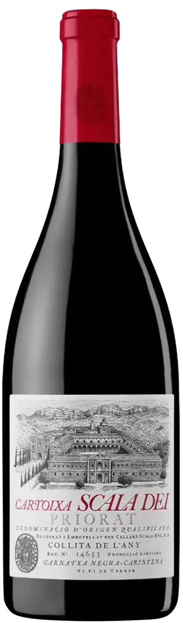 Afbeelding van Scala Dei Cartoixa '19