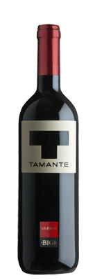 Afbeelding van Bigi Tamante Rosso '23