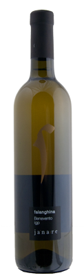 Afbeelding van Janare Falanghina Del Sannio DOC '23